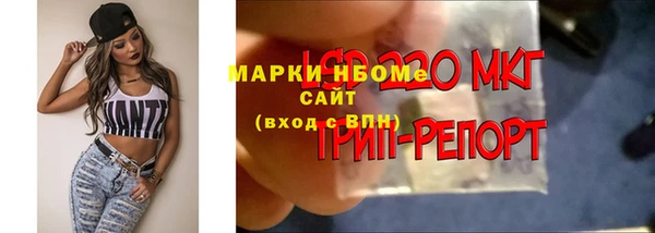 мет Лагань