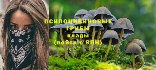 мет Лагань